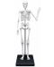 Образователен комплект Buki France - Човешки скелет, 85 cm - 3t