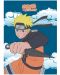 Одеяло Pierrot Animation: Naruto Shippuden - Naruto Uzumaki - 1t