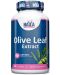 Olive Leaf Extract, 450 mg, 60 капсули, Haya Labs - 1t