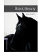 Oxford Bookworms Library Level 4: Black Beauty - 1t