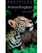 Oxford Bookworms Library Factfiles Level 3: Animal Kingdom Audio Pack - 1t