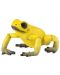 Фигурка Papo Wild Animal Kingdom – Екваториална жълта жаба - 1t