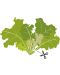 Пълнител Veritable - Lingot, Салата дъбов лист, без ГМО - 4t