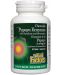 Papaya Enzymes with Amylase and Bromelain, 60 таблетки, Natural Factors - 1t