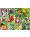 Пъзел Springbok от 500 части - Птички в гората - 2t