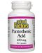 Pantothenic Acid, 250 mg, 90 капсули, Natural Factors - 1t