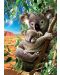 Пъзел Educa от 500 части - Бебе коала с майка си - 2t