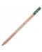 Пастелен молив Caran d'Ache - Moss green - 1t