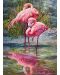 Пъзел Cherry Pazzi от 1000 части – Животът на фламингото - 3t