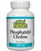 Phosphatidyl Choline, 420 mg, 90 капсули, Natural Factors - 1t