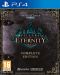 Pillars of Eternity (PS4) - 1t