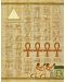 Настолна игра Amun-Re: The Card Game - стратегическа - 5t