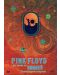 Pink Floyd: На живо от Помпей - Режисьорска версия (DVD) - 1t