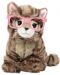 Плюшена играчка Studio Pets - Британско коте с очила, Пейдж, 23 cm - 1t