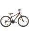 Планински велосипед BIKE SPORT - Thunder 26"x 330, черен - 1t