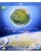 Planet Earth: The Collection (Blu-Ray) - 1t