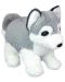 Плюшена играчка Wild Planet - Кученце Хъски, 25 cm - 1t