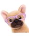 Плюшена играчка Studio Pets - Куче Френски булдог с очила, Фреди - 2t
