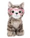 Плюшена играчка Studio Pets - Британско коте с очила, Пейдж - 1t