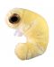 Плюшена играчка Книжен червей (Anobium punctatum) - 1t