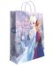 Подаръчна торбичка S. Cool - Frozen, Anna and Elsa, XL - 1t