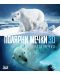 Полярни мечки: Ледена мечка 3D + 2D (Blu-Ray) - 1t