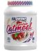 WOW! Protein Oatmeal, горски плодове, 1 kg, FA Nutrition - 1t