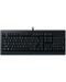 Гейминг клавиатура Razer - Cynosa Lite, US Layout, черна - 1t