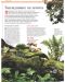 Илюстрована научна енциклопедия Британика: Растения, водорасли и гъби - 7t
