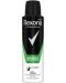 Rexona Men Спрей дезодорант Fresh Power, 150 ml - 1t