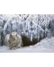 Пъзел Cobble Hill от 1000 части - Снежен рис, Робърт Бейтмън - 2t