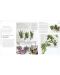 RHS Practical House Plant Book: Choose The Best, Display Creatively, Nurture and Care, 175 Plant Profiles - 2t