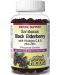 Sambucus Black Elderberry, 60 желирани таблетки, Natural Factors - 1t