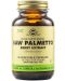 Saw Palmetto Berry Extract, 60 растителни капсули, Solgar - 1t