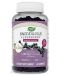 Sambucus Elderberry за деца, 60 желирани таблетки, Nature’s Way - 1t
