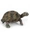 Фигурка Schleich от серията Дивия живот - Африка: Гигантска костенурка - бебе - 1t