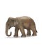 Фигурка Schleich от серията Дивия живот - Азия и Австралия: Индийски слон - женски - 1t