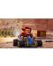 Crash Team Racing Nitro-Fueled Nitros Oxide Edition (Nintendo Switch) - 6t