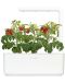 Семена Click and Grow - Мини домати, 3 пълнителя - 3t