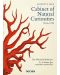 Seba. Cabinet of Natural Curiosities (40th Edition) - 1t