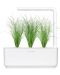 Семена Click and Grow - Декоративна трева, 3 пълнителя - 3t