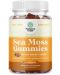 Sea Moss Gummies, 90 желирани таблетки, Nature's Craft - 1t