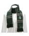 Шал Cine Replicas Movies: Harry Potter - Slytherin, 190 cm - 2t