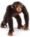 Фигурка Schleich Wild Life - Мъжко шимпанзе - 1t