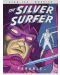 Silver Surfer: Parable 30th Anniversary Oversized Edition - 1t