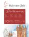 Скицник Hahnemuhle Britania - 30 x 40 cm, груба хартия, 12 листа - 1t