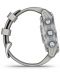 Смарт часовник Garmin - Descent MK3, 43 mm, 1.2'', Steel Grey - 9t