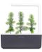Смарт саксия Click and Grow - Smart Garden 3, 8 W, сива - 5t