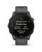 Смарт часовник Garmin - Forerunner 255, 46mm, Slate Grey - 4t