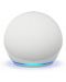 Смарт колона Amazon - Echo Dot 5, бяла - 2t